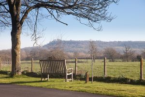 Communal Grounds- click for photo gallery